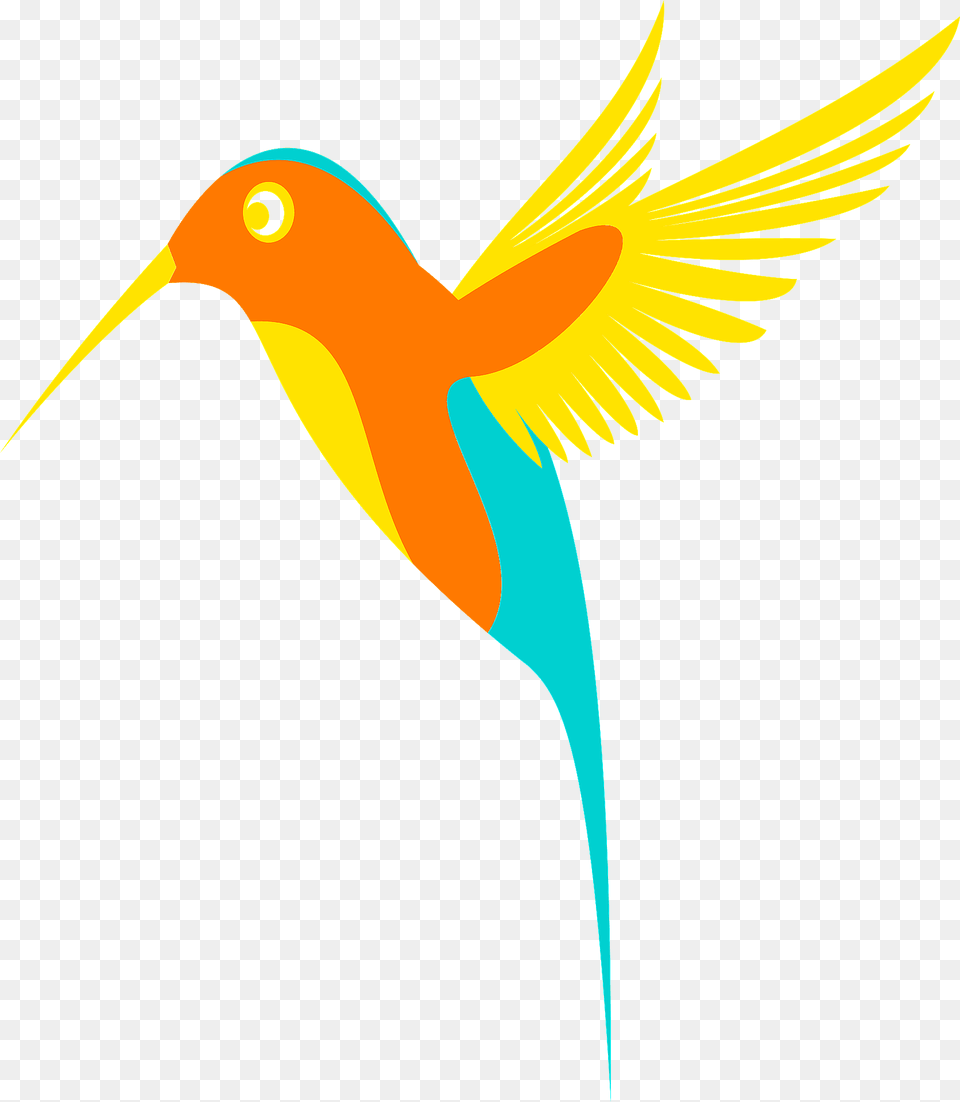 Colorful Hummingbird Clipart, Animal, Beak, Bird Png