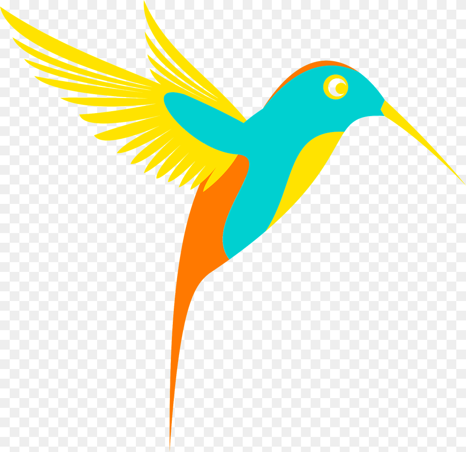 Colorful Hummingbird Clipart, Animal, Bird, Beak, Bee Eater Free Png Download