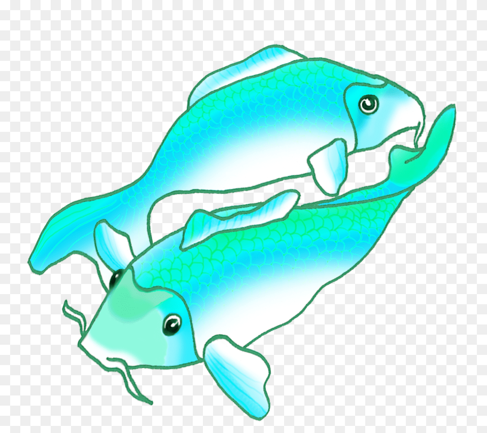 Colorful Koi Fish Drawings, Animal, Sea Life, Shark Png