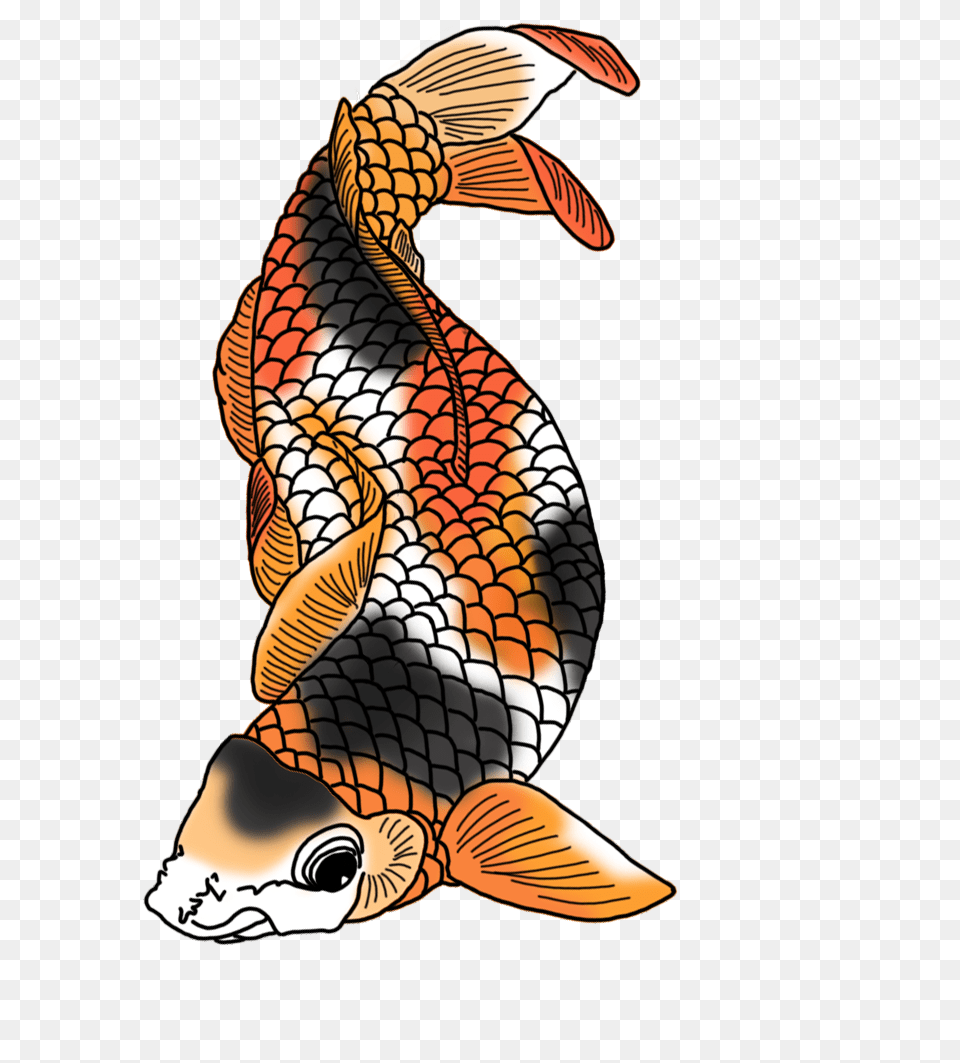 Colorful Koi Fish Drawings, Adult, Female, Person, Woman Free Png