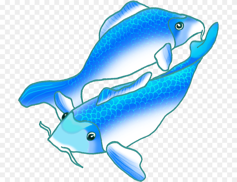 Colorful Koi Fish Drawings Picture Transparent Library Swimming Blue Fish Gif, Animal, Sea Life Png