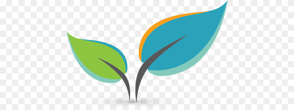 Colorful Leaves Online Logo Template Leaf Logo Design, Plant, Sprout, Bud, Flower Free Png
