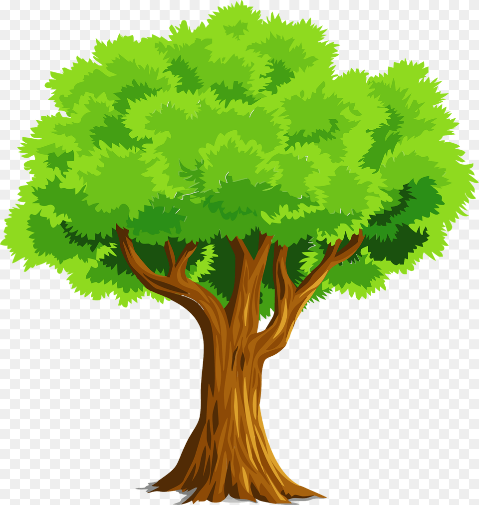 Colorful Natural Tree Clipart, Plant, Vegetation, Conifer, Tree Trunk Free Png Download