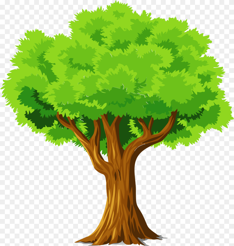 Colorful Natural Tree Vector Clipart Tree Clipart Full Tree Clipart, Plant, Vegetation, Conifer, Land Png