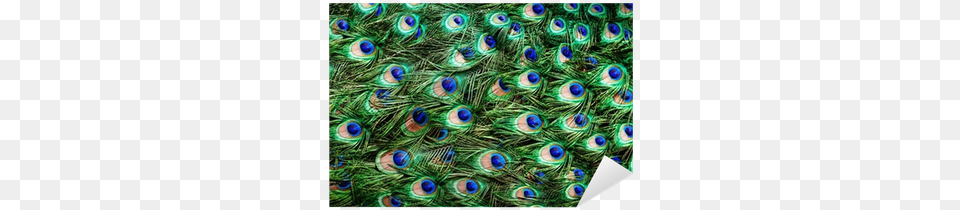 Colorful Peacock Feathers Background Sticker Pixers Weather Guard The Softer Side By Weather Guard 18 Inch, Animal, Bird Free Transparent Png