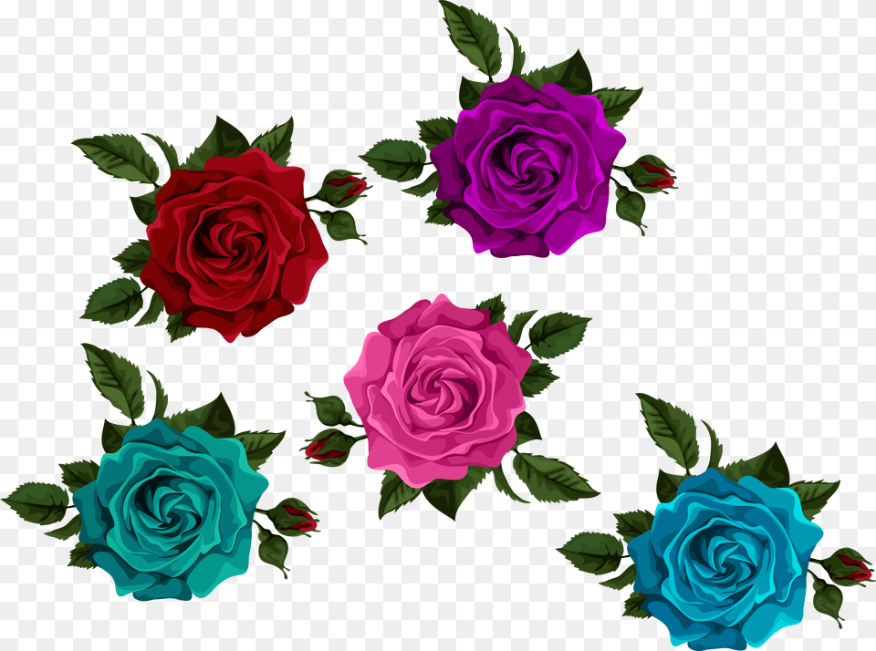 Colorful Roses With Transparent Transparent Background Transparent Colorful Roses, Flower, Plant, Rose, Pattern Free Png Download