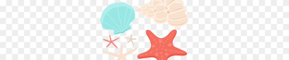 Colorful Seashell Clipart Clipart Station, Animal, Sea Life, Invertebrate, Starfish Free Png Download