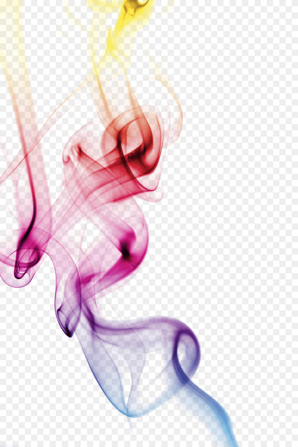 Colorful Smoke Clipart Color, Plant, Pattern Png