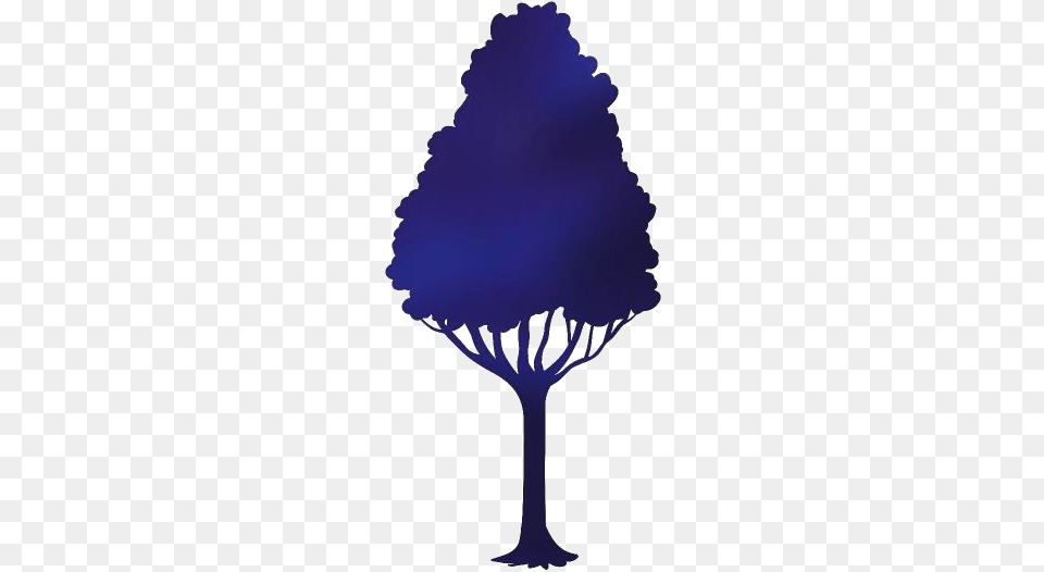 Colorful Tree Transparent Illustration, Plant, Silhouette, Outdoors Free Png