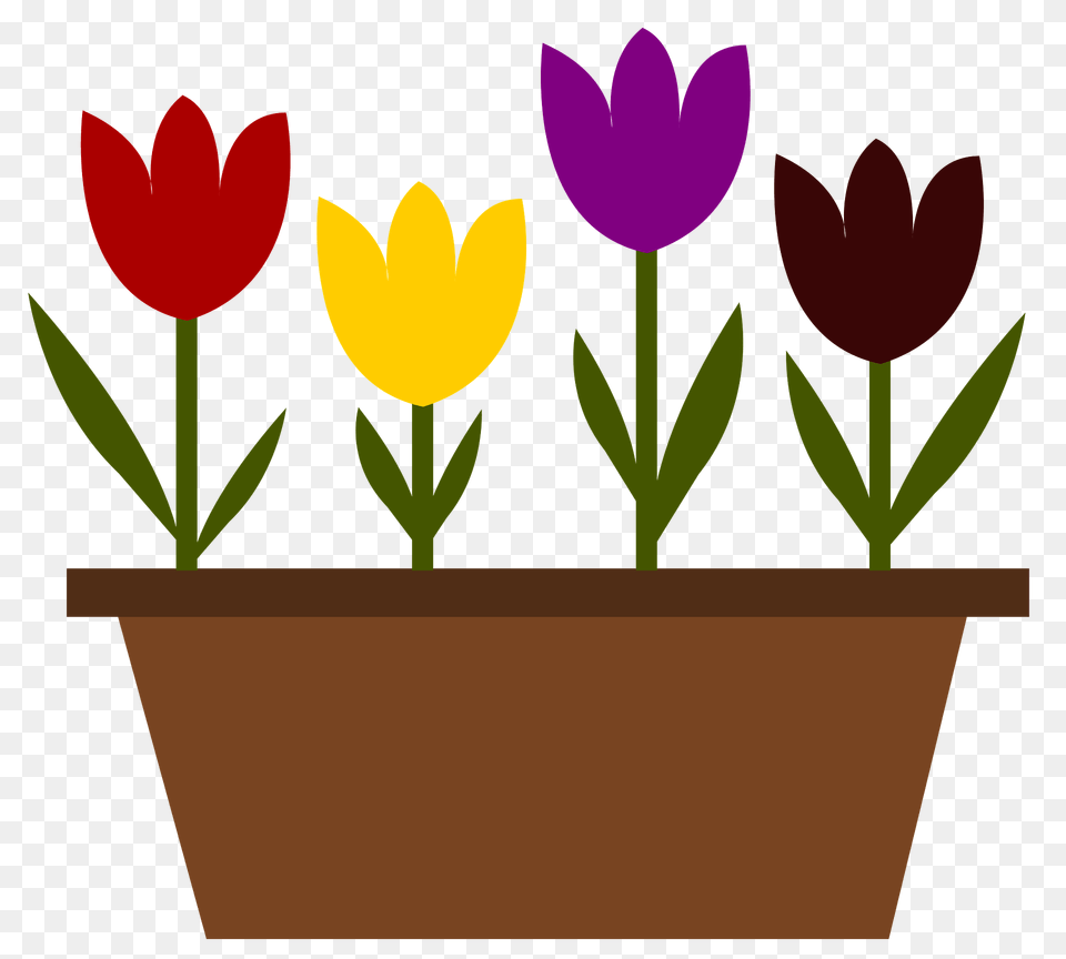 Colorful Tulips In A Brown Pot Clipart, Jar, Plant, Planter, Potted Plant Png