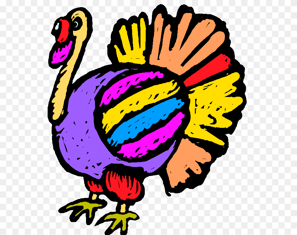 Colorful Turkey Clipart, Baby, Person, Animal, Bird Png Image