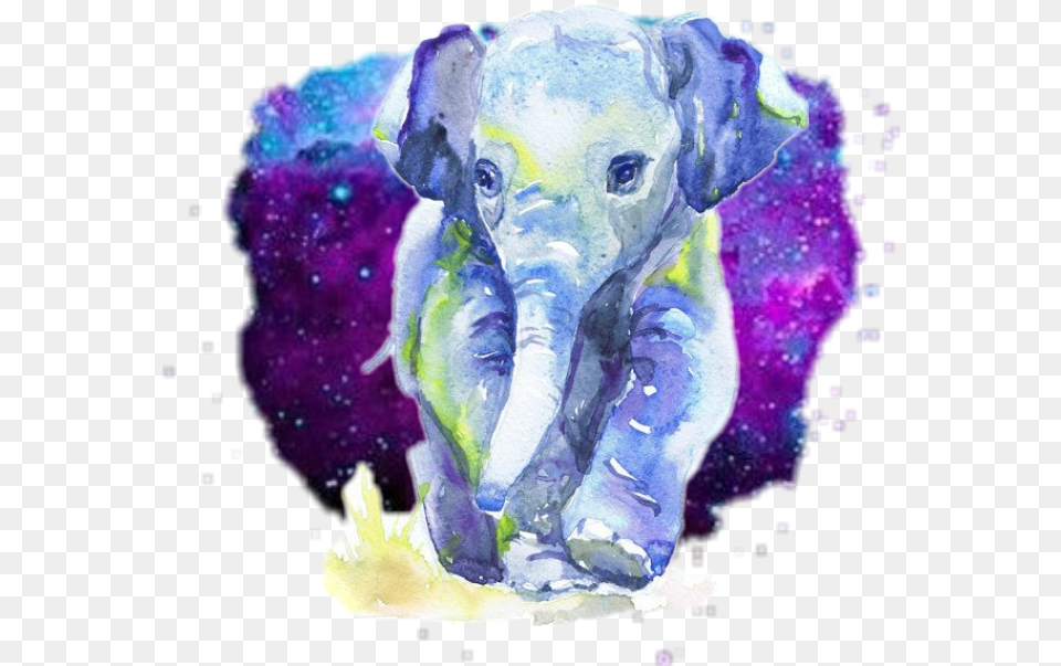 Colorful Watercolor Elephant Space Aquarelle Pour Chambre Bb Fille, Baby, Person, Animal, Wildlife Free Transparent Png