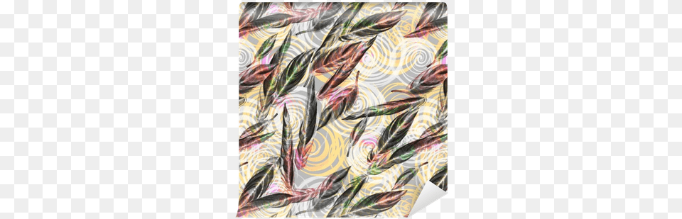Colorful Watercolor Leaves Of Exotic Calathea Whitestar Leaf, Art, Graphics, Pattern, Floral Design Free Transparent Png