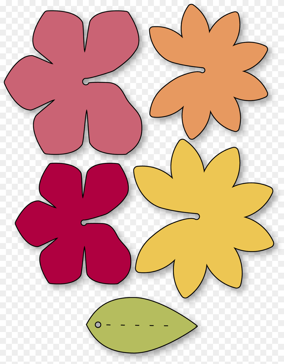 Colorfulness, Flower, Petal, Plant, Daisy Free Png Download