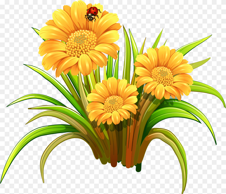 Coloring Book Art Flower Art Flower Clips Daisy 3d Flower Clipart, Apple, Plant, Produce, Fruit Free Transparent Png