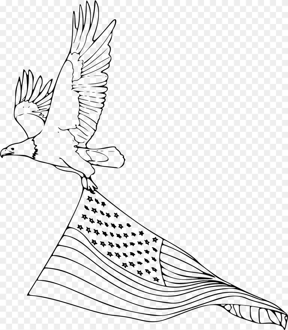 Coloring Book Bald Big Image Eagle Flying Drawing Easy, Gray Free Png Download