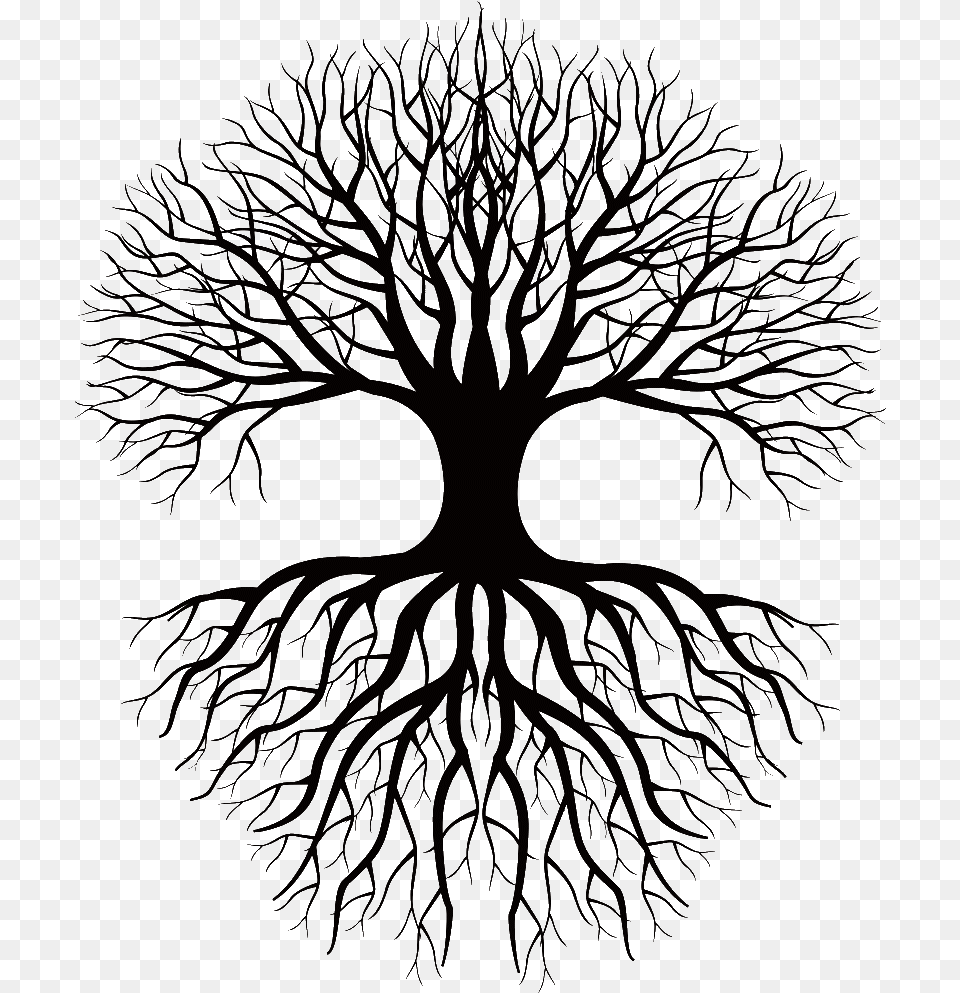 Coloring Book Drawing Root Tree Clip Art Tree And Roots Silhouette, Accessories, Pattern, Ornament, Fractal Png Image