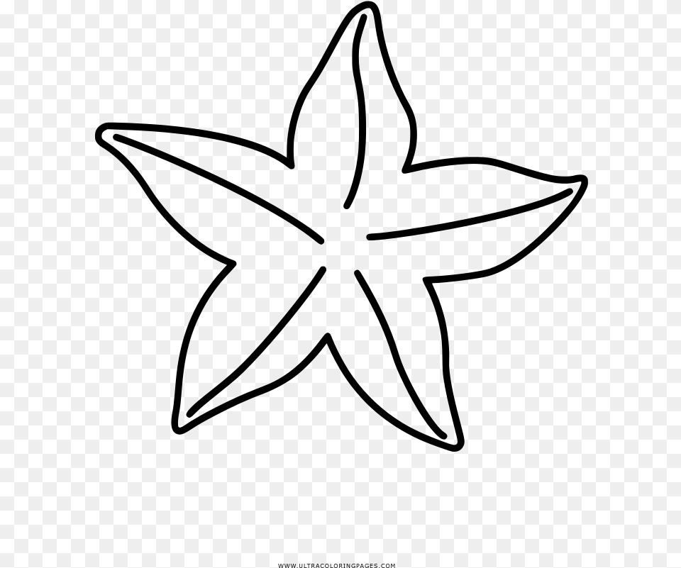 Coloring Book Drawing Starfish, Gray Png