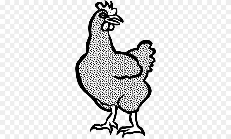 Coloring Book Of A Hen Imagem Da Galinha Xadrez Para Colorir, Animal, Bird, Chicken, Fowl Free Png