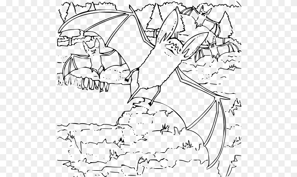 Coloring Book Ozark Big Eared Bat Clip Arts Big Eared Bat Coloring Pages, Gray Free Png