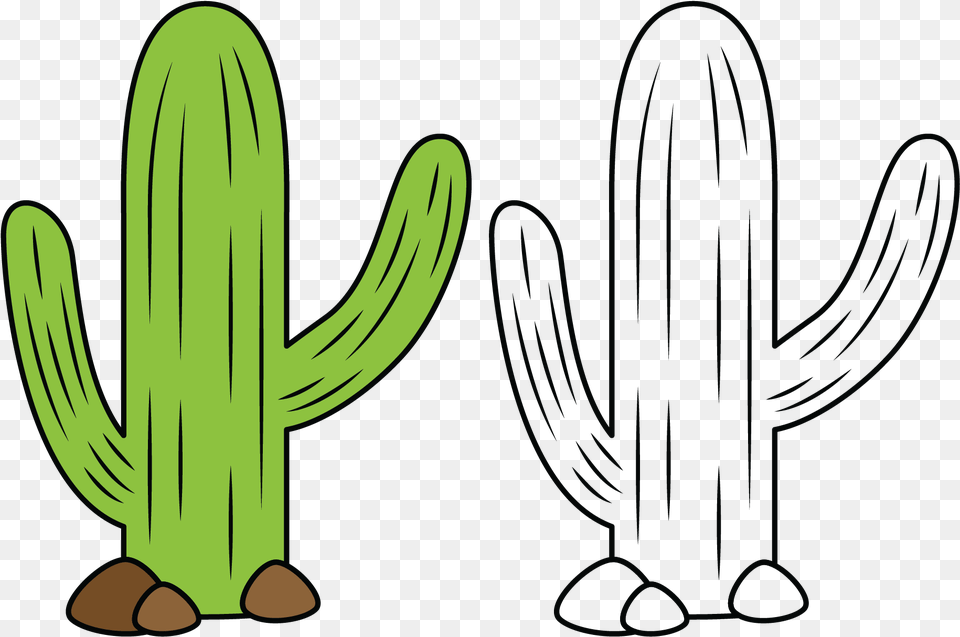 Coloring Cactus For Kids Lovely, Plant Free Png