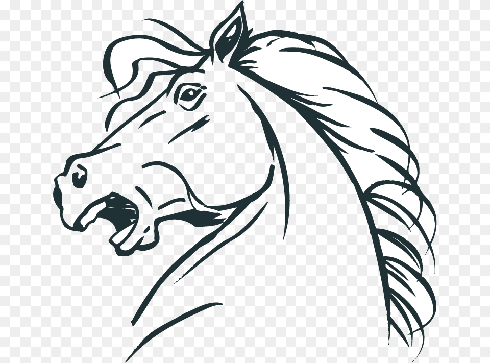 Coloring In Horse Head, Art, Baby, Drawing, Person Png