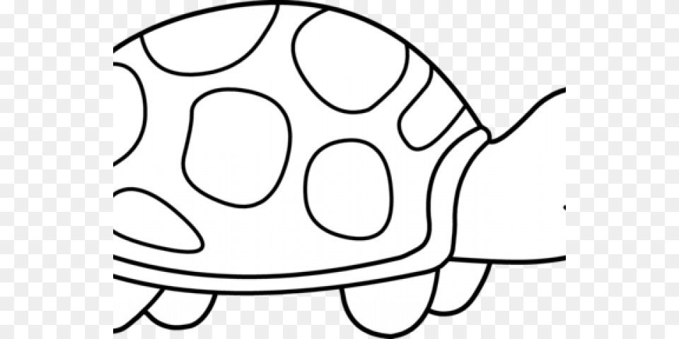 Coloring Pages Clipart, Animal, Egg, Food, Sea Life Png