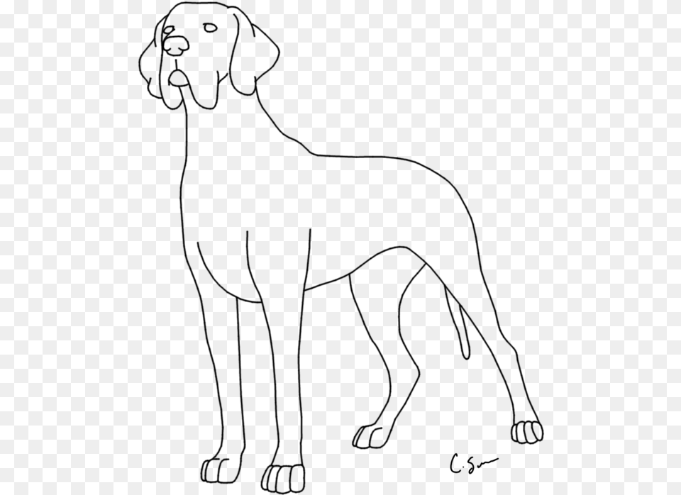 Coloring Pages For Kids And For Adults Coloring Pictures Of Great Dane, Gray Png