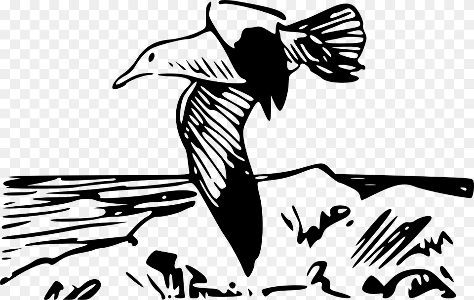 Coloring Pages Of Birds, Gray Free Png