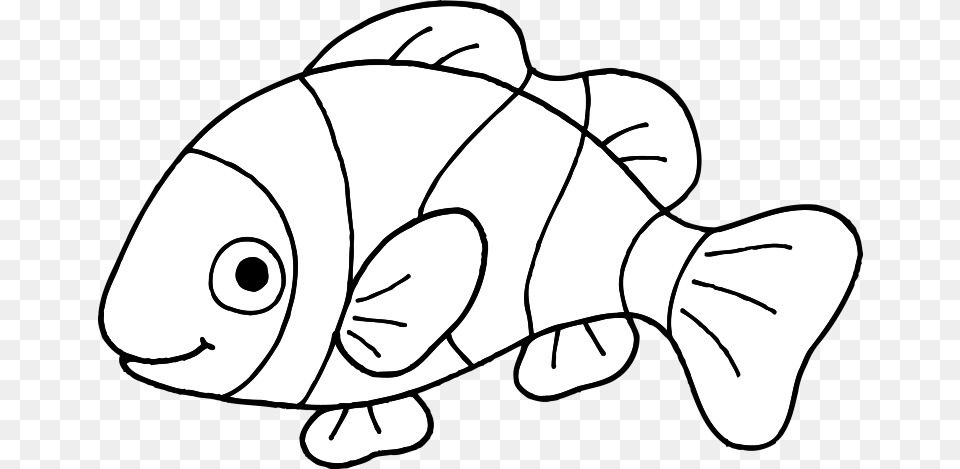 Coloring Pages Of Clown Fish Outline Coloring Clip Art Fish Black And White, Animal, Bear, Mammal, Wildlife Free Transparent Png