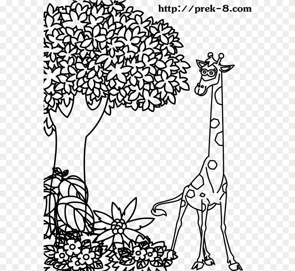 Coloring Pages Of Jungle Trees Jungle Animals Drawing Kids, Gray, Lighting Png Image