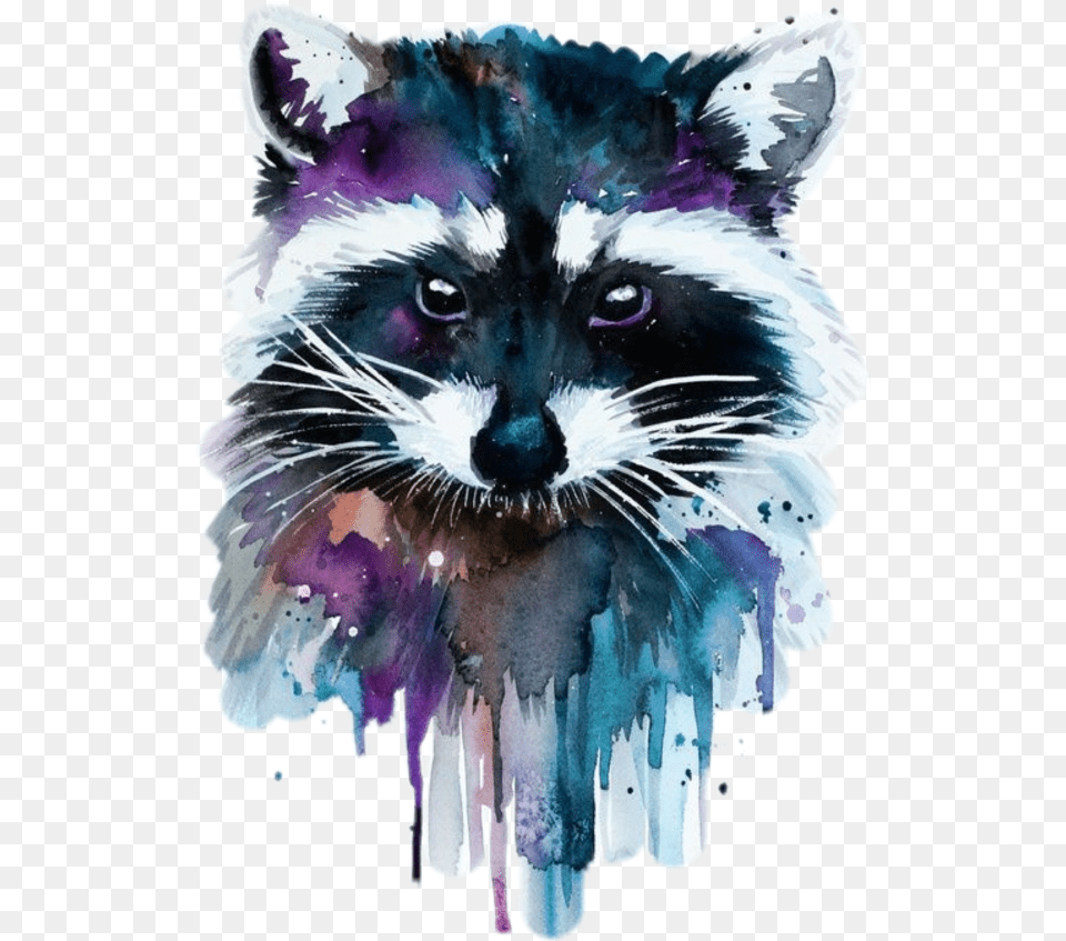 Coloring Raccoon Raccoon Art Cartoon Jingfm Watercolor Raccoon, Animal, Mammal, Bird Png