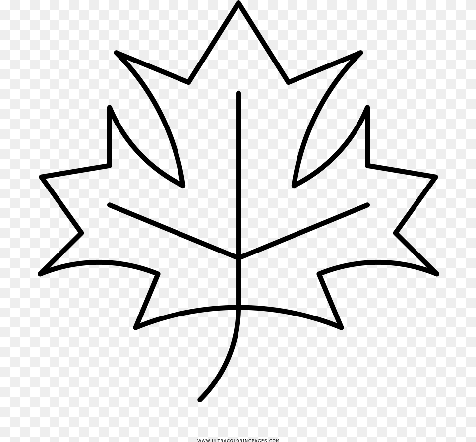 Colorings Maple Leaf Portable Network Graphics, Gray Free Transparent Png