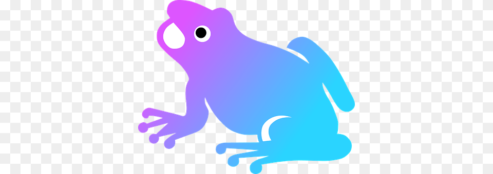 Colorize Amphibian, Animal, Frog, Wildlife Free Transparent Png