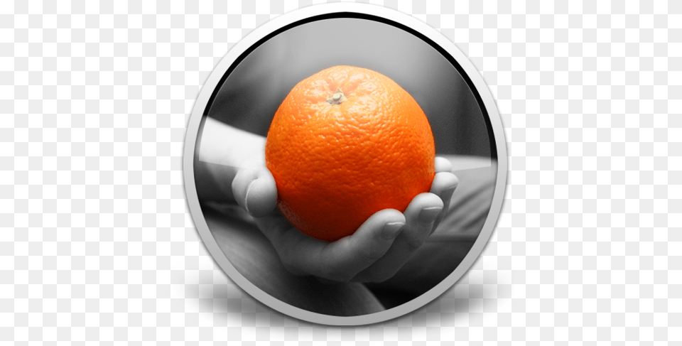 Colorize For Mac Review Latest Version Valencia Orange, Citrus Fruit, Food, Fruit, Grapefruit Free Png Download