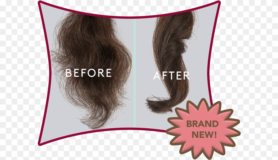 Colorkick, Hair, Person, Ponytail, Adult Png