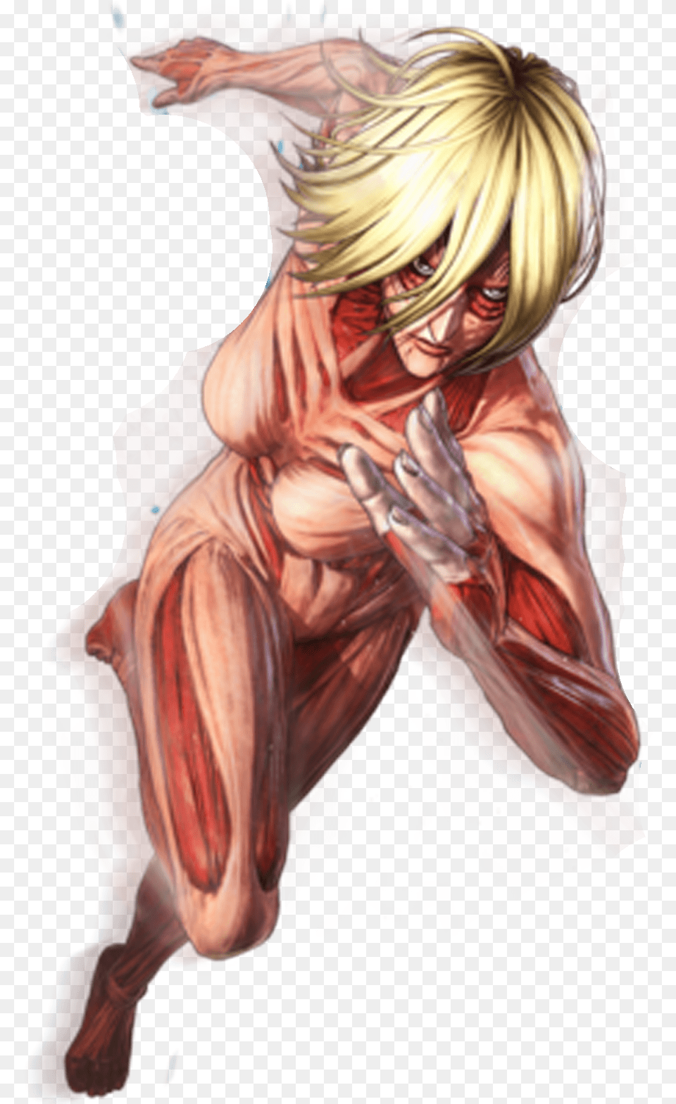 Colossal Titan Attack On Titan, Book, Comics, Publication, Adult Png Image
