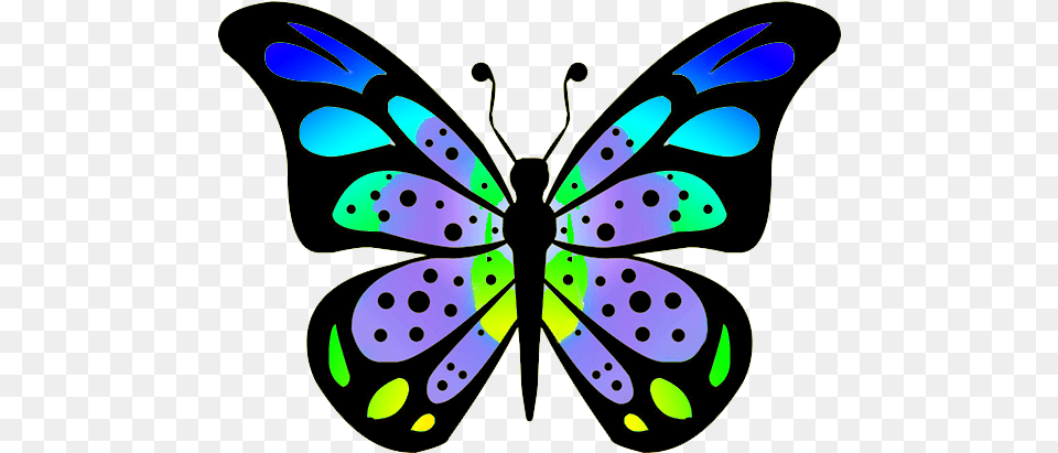 Colouful Clipart Butterfly Wing Butterfly Drawings With Color, Animal, Invertebrate, Spider Free Png Download
