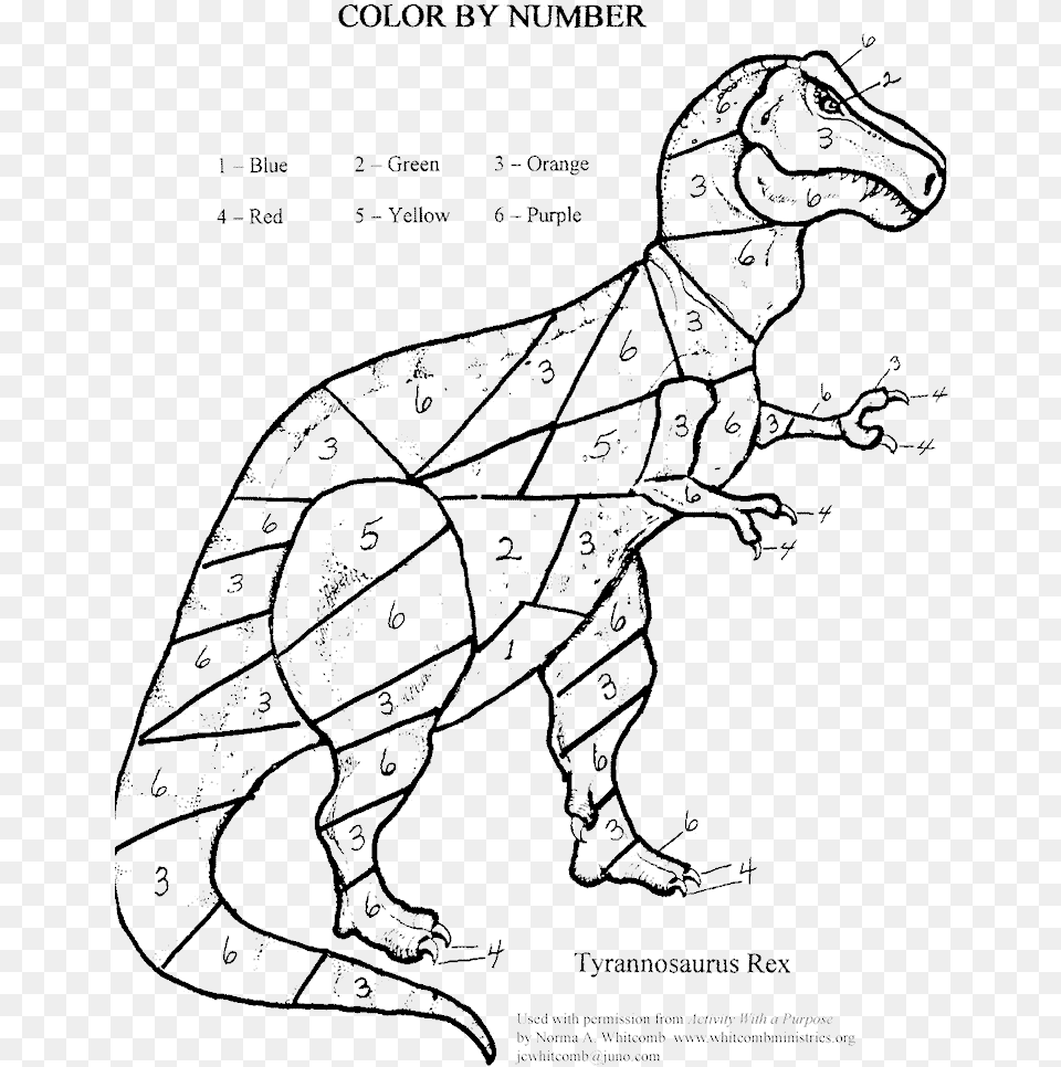 Colour By Number Dinosaur, Animal, Reptile, Adult, Wedding Free Png