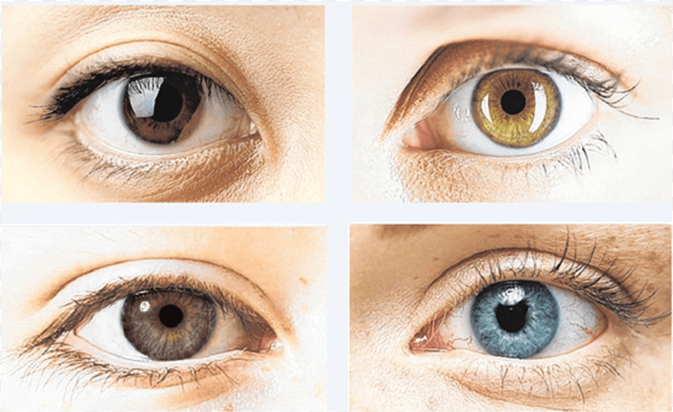 Colour Changing Eye Drops, Art, Collage, Contact Lens, Face Png Image