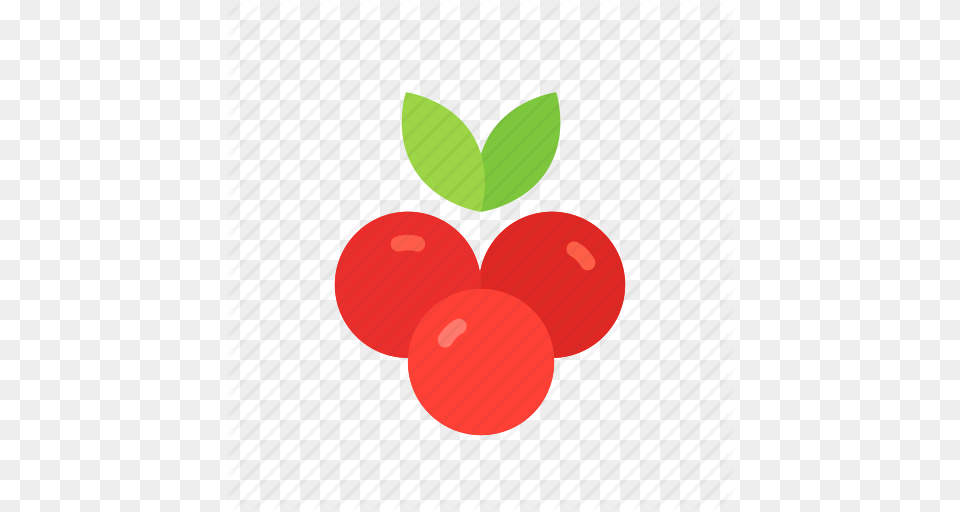 Colour Cranberries Cranberry Currant Food Fruit Red Icon, Plant, Produce, Ping Pong, Ping Pong Paddle Free Png