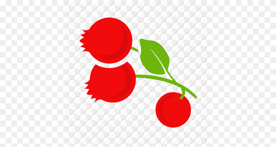 Colour Cranberries Cranberry Currant Icon, Food, Fruit, Plant, Produce Free Transparent Png