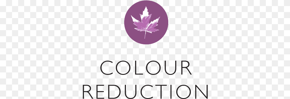 Colour Reduction Logo Maple Leaf, Plant, Purple, Tree, Maple Leaf Free Png