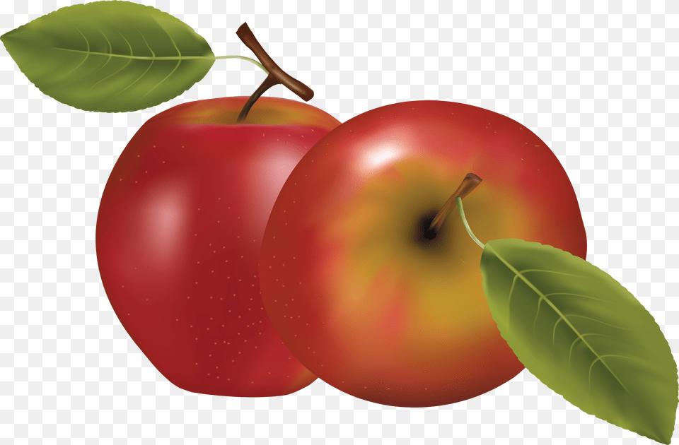 Coloured Apple Clipart Regarding Apple Clipart, Food, Fruit, Plant, Produce Png