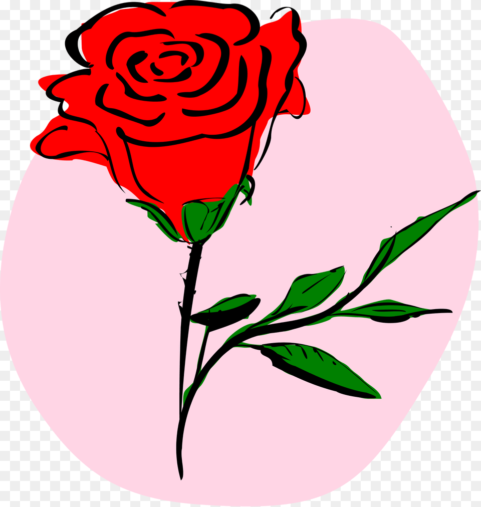 Coloured Rose Large 900pixel Clipart Coloured Rose Rose Clipart, Flower, Plant Free Png Download