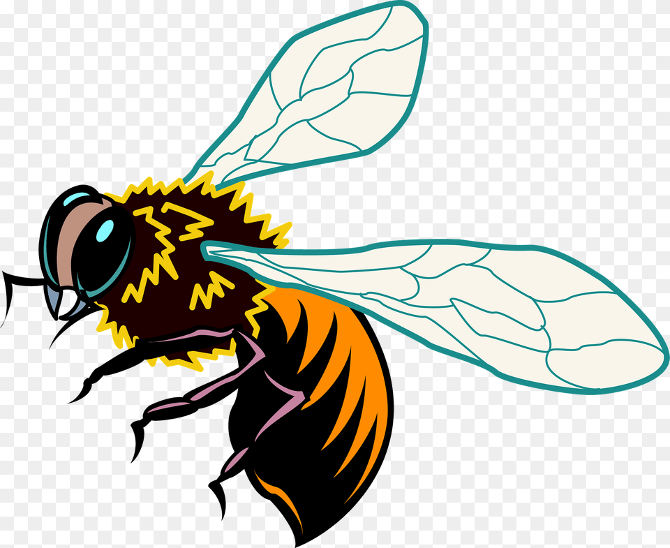 Colourful Bee Clipart, Animal, Invertebrate, Insect, Wasp Png Image
