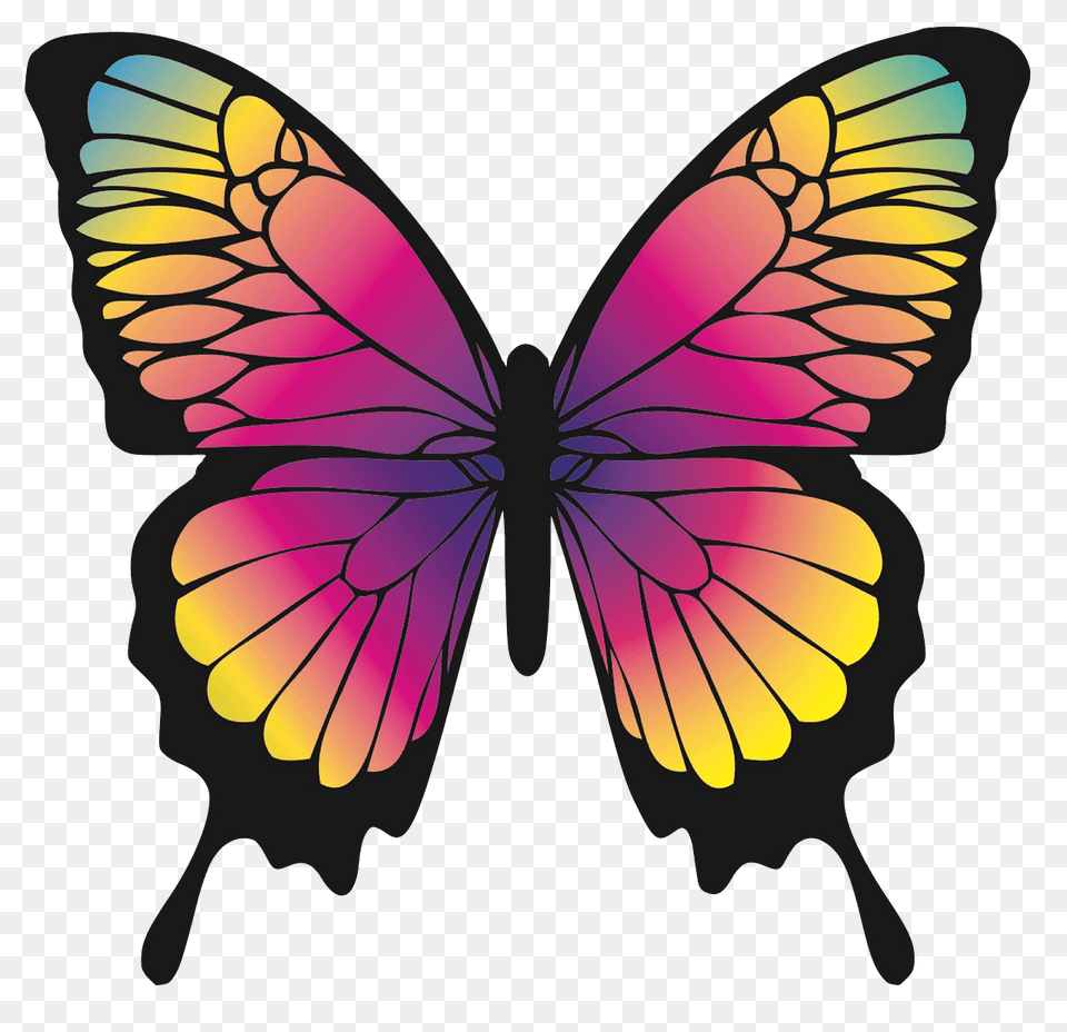 Colourful Butterfly Clipart, Animal, Insect, Invertebrate, Art Free Png Download