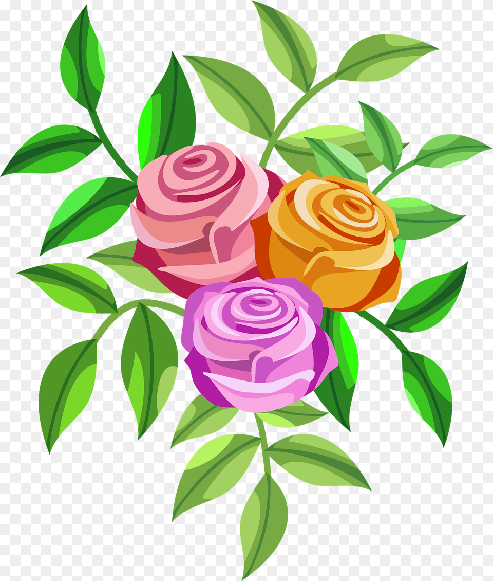 Colourful Roses Clipart, Art, Floral Design, Flower, Graphics Free Png