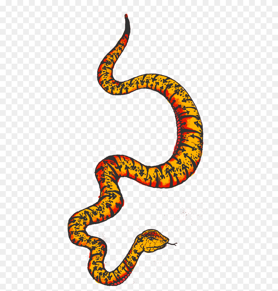 Colourful Snake Clipart Python, Animal, Reptile, King Snake Free Png Download