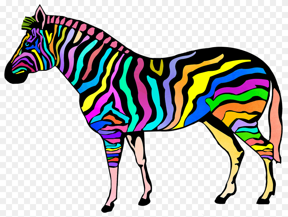 Colourful Zebra Clipart, Animal, Mammal, Wildlife, Art Free Transparent Png